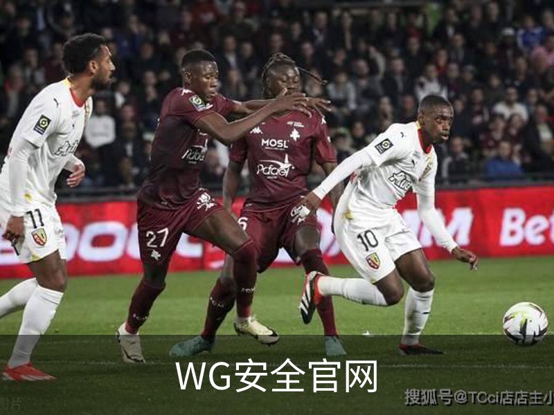 WG安全官网 - 官方服务体系